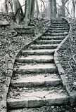 http://th157.photobucket.com/albums/t72/alexwiciel/th_stairs.jpg